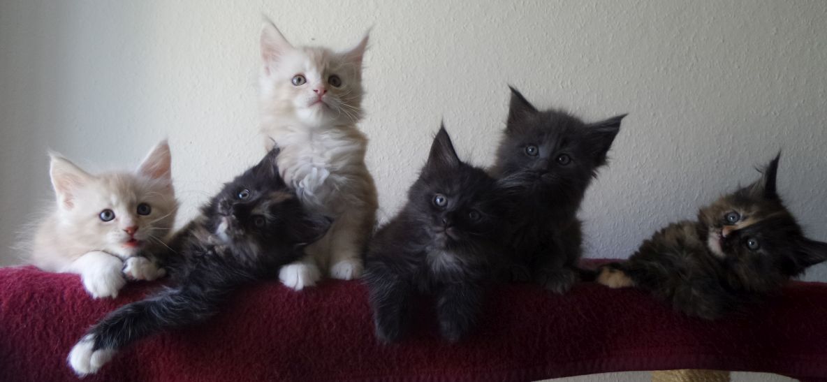 Gruppenbild