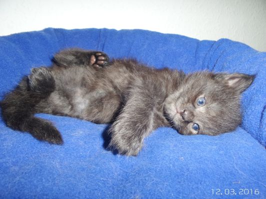 Bild 2