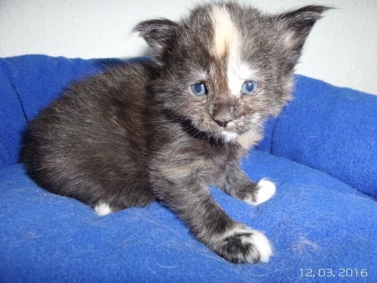 Bild 3