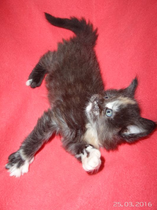 Bild 6