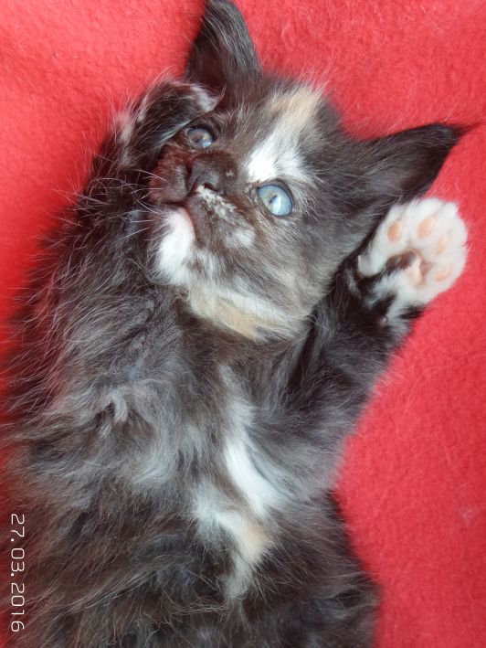 Bild 8