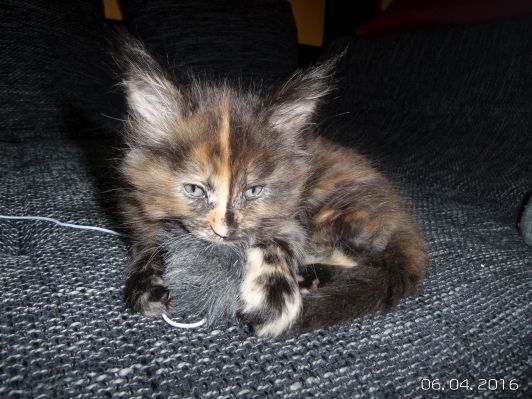 Bild 9