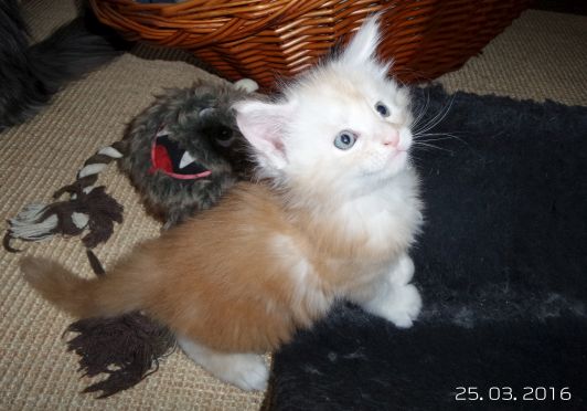 Bild 6