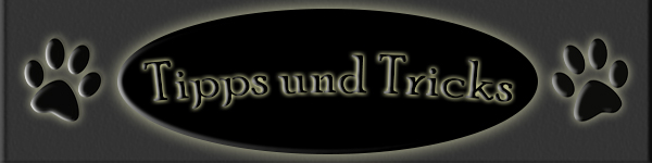Titelbild