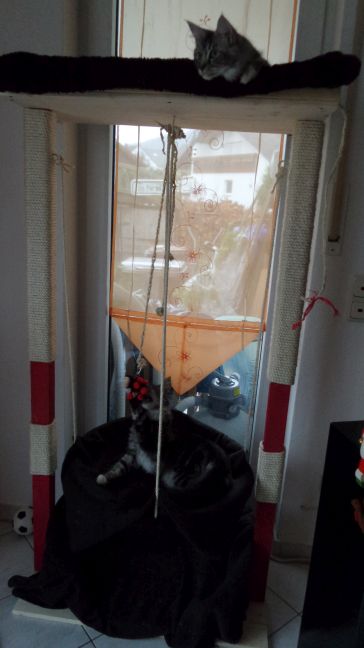 Kratzturm