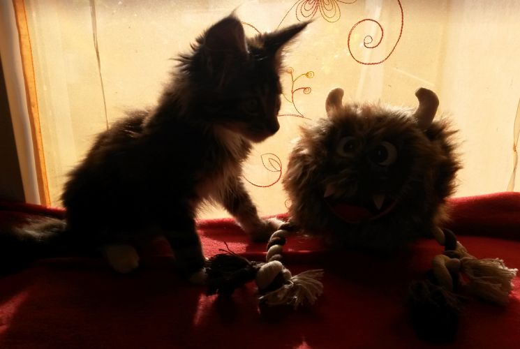 Bild 5