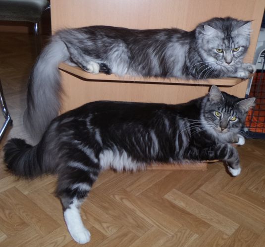 Bild 10
